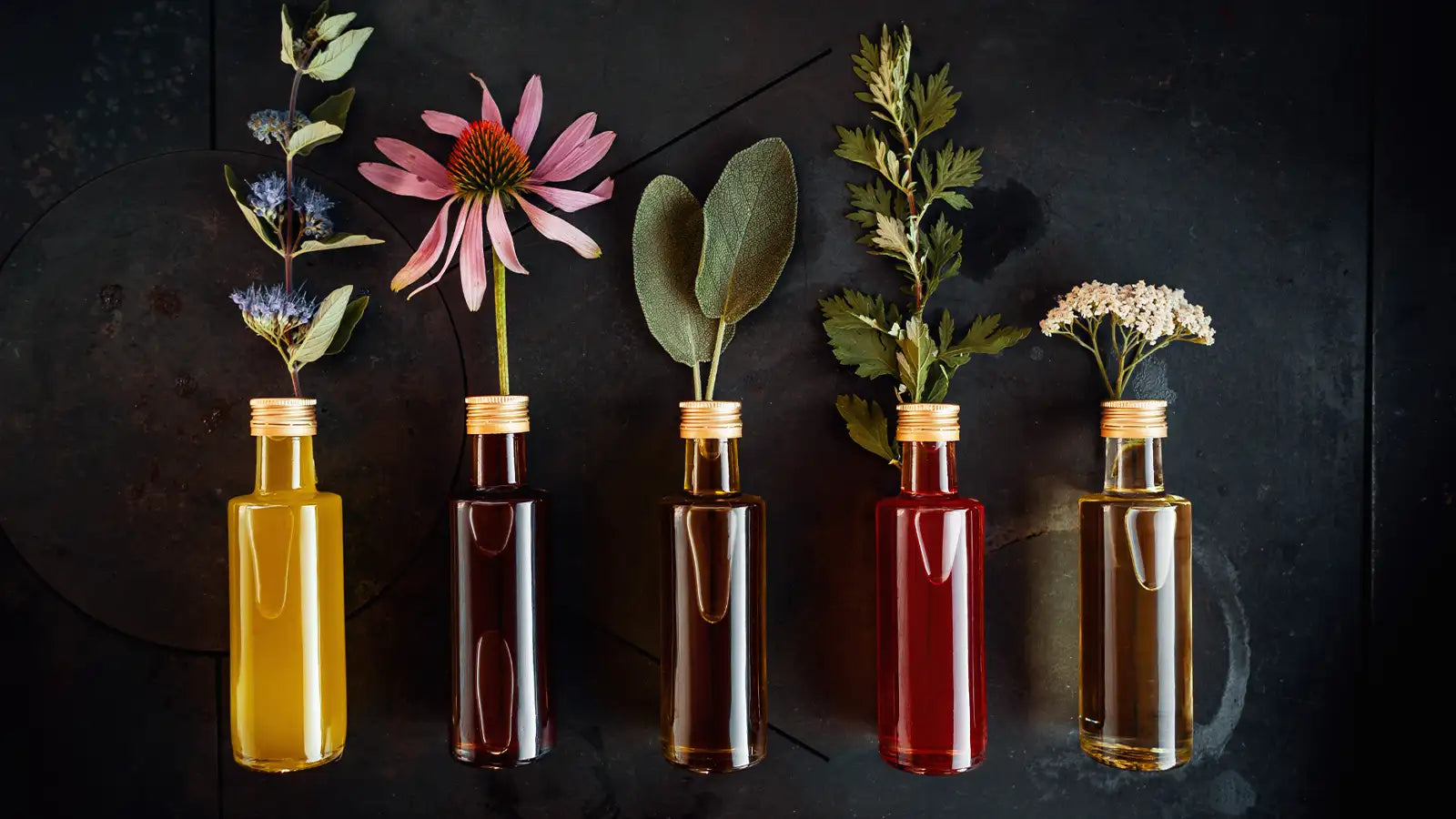 Aromatherapy Courses | Australian College of Aromatherapy