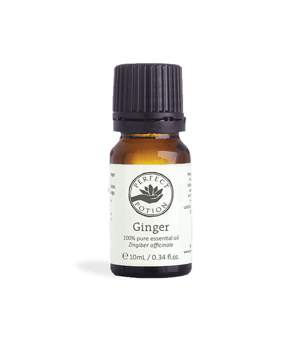 Ginger Pure Essential Oil 10mL