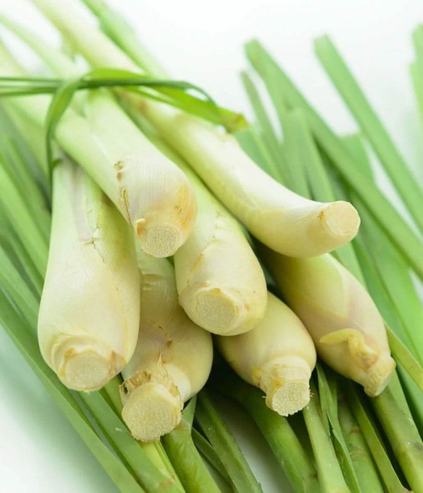 Lemongrass Pure Essential Oil 10mL