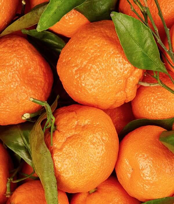 Mandarin Pure Essential Oil 10mL