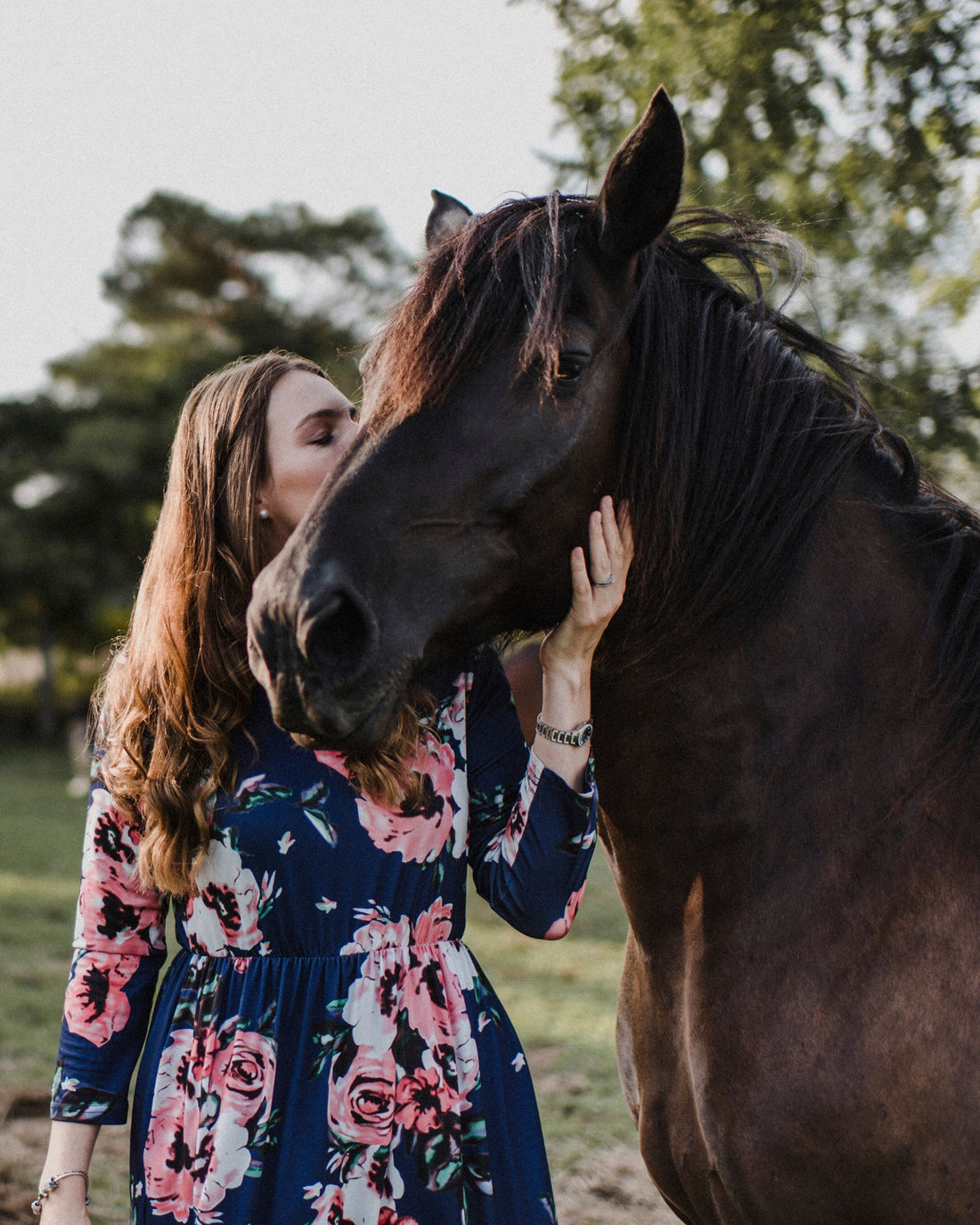 Equine Aromatherapy - An Overview