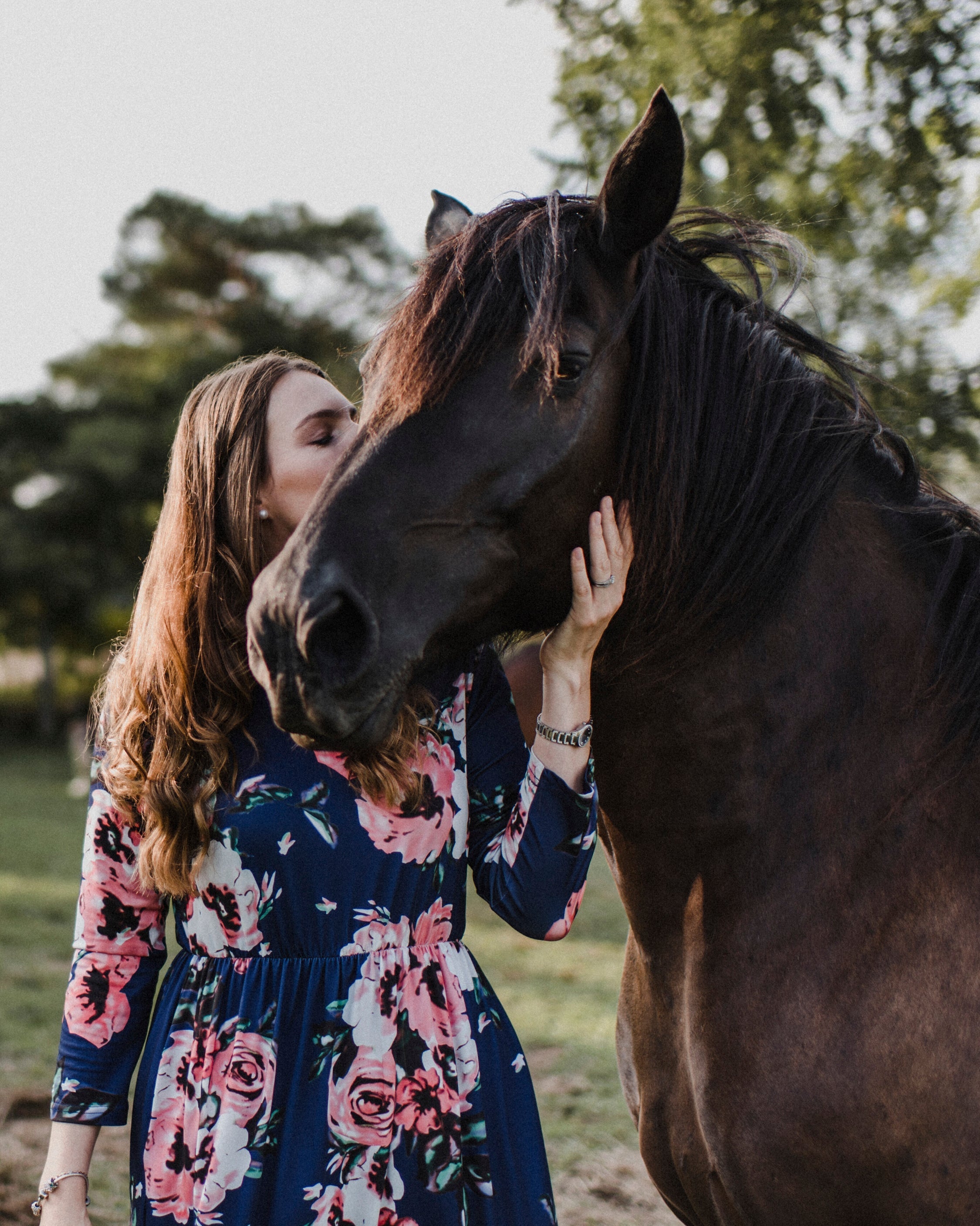 Equine Aromatherapy - An Overview