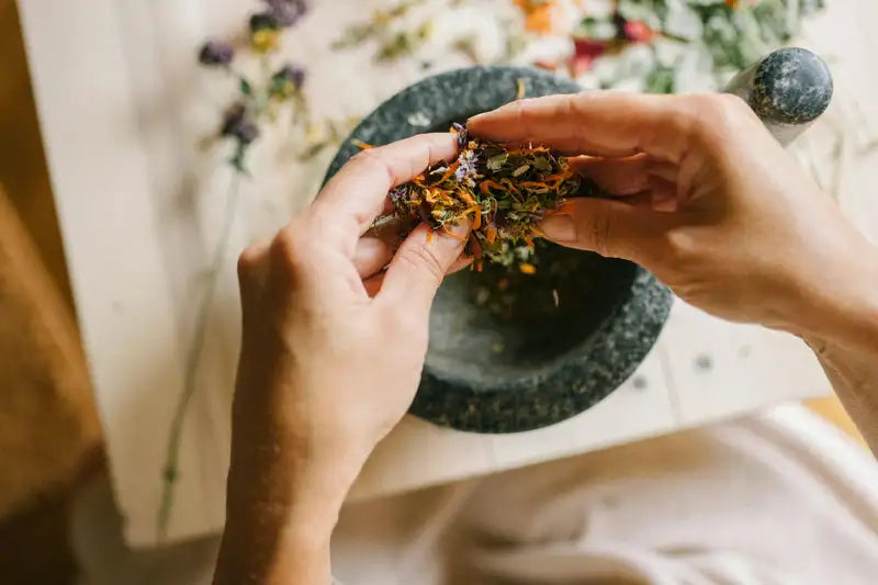 Understanding the Language of Herbal Medicine  - Part 1