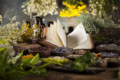 I’ve Studied Herbalism — Now What?