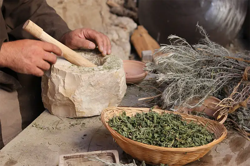 What Does a Herbalist Actually Do? (And Could It Be You?)