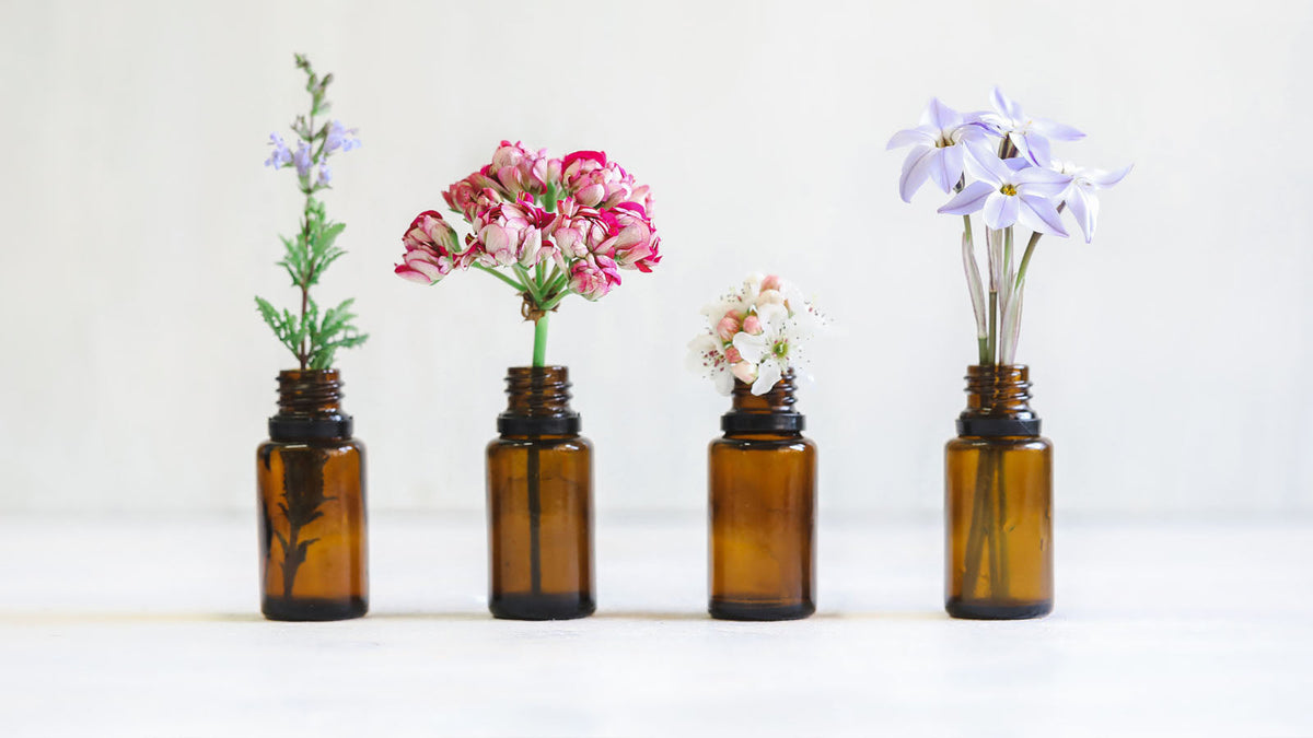Australian College of Aromatherapy | Aromatherapy Courses & Products