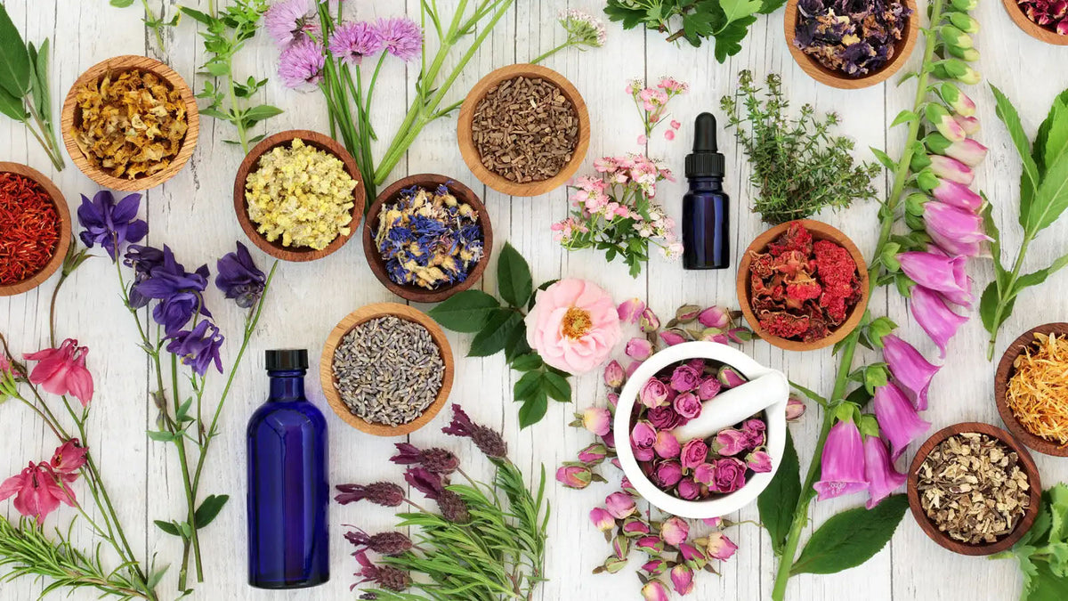 Australian College of Aromatherapy | Aromatherapy Courses & Products