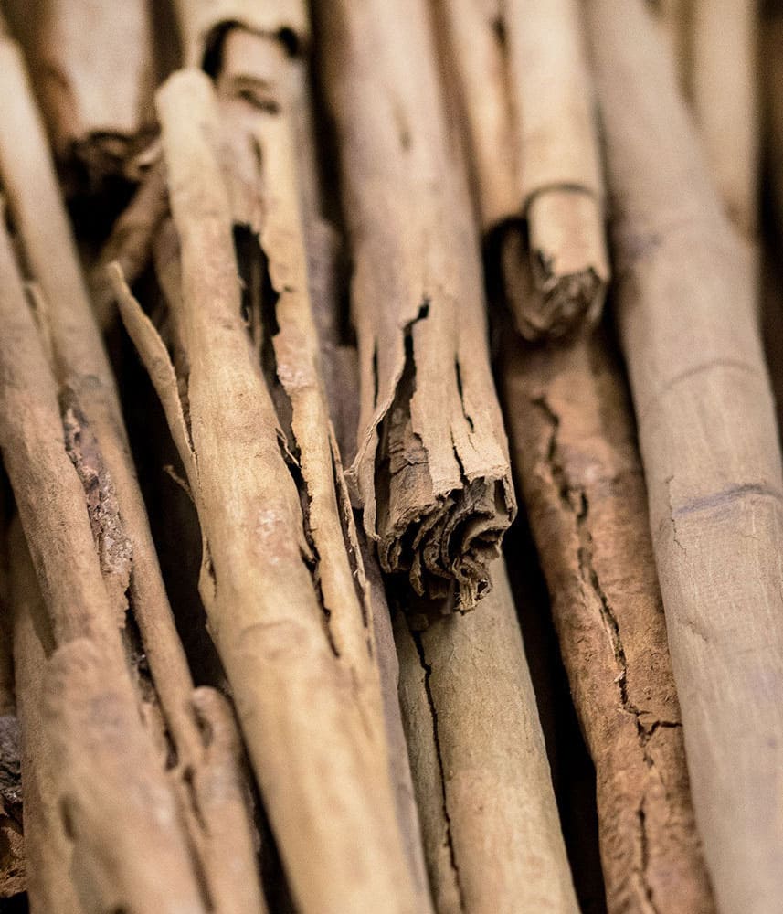 Cinnamon Bark Pure Essential Oil 10mL