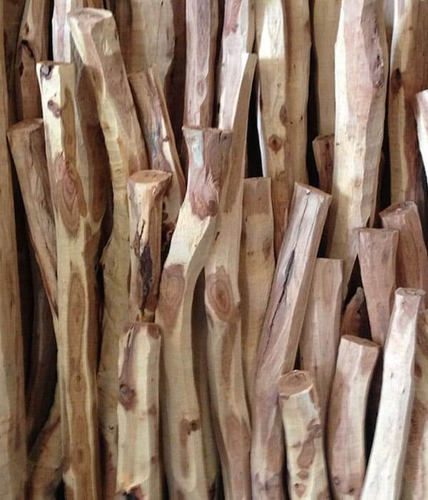 Sandalwood (Australian) Pure Essential Oil 2.5mL