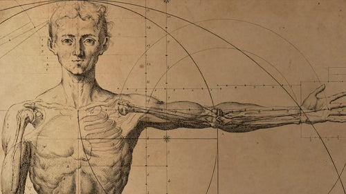 Anatomy and Physiology
