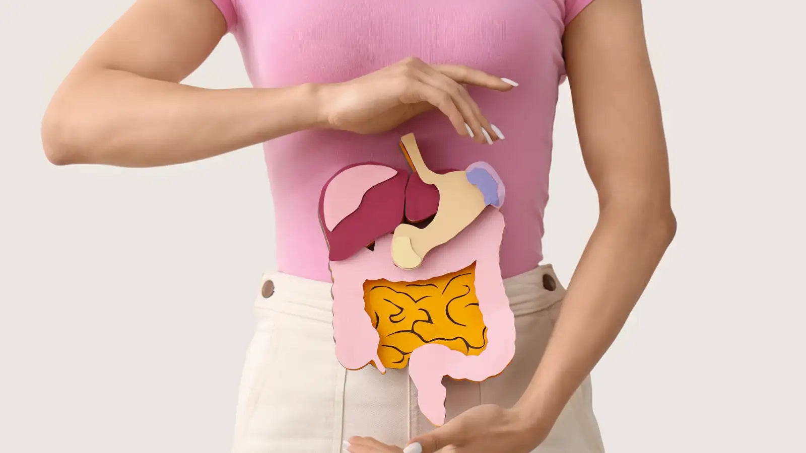 Aromatherapy and The Body Systems