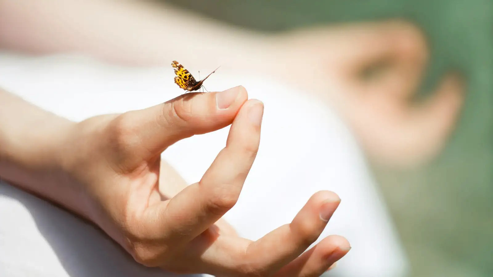 Aromatherapy and The Psyche
