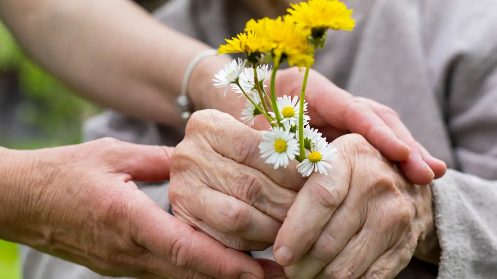 Aromatherapy for Palliative and Aged Care