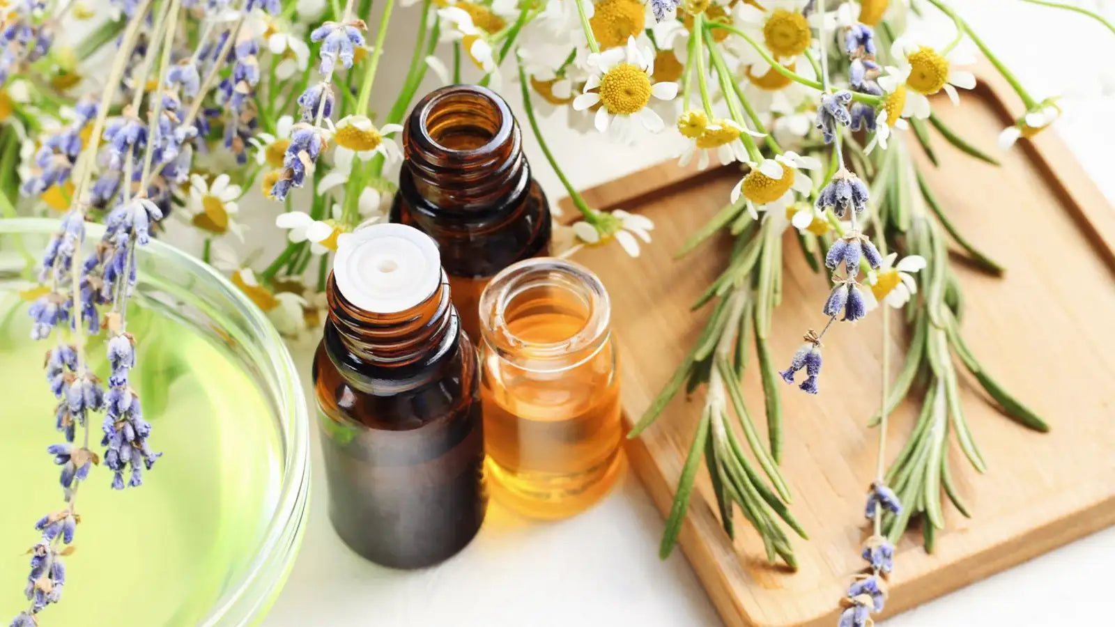 Fundamentals of Aromatherapy