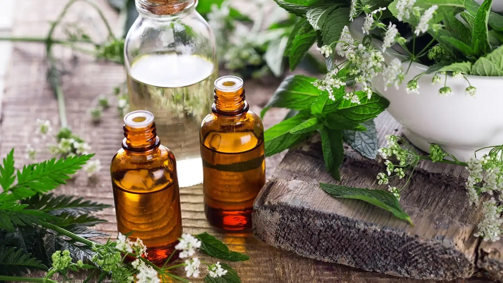 Holistic Homeopathy