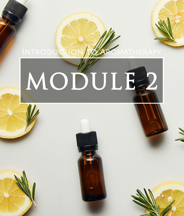 Introduction to Aromatherapy - Module 2